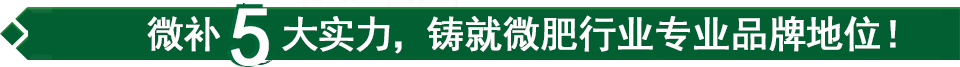 微補(bǔ)