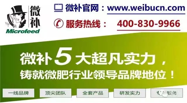 余教授奧地利維也納行：不懂音樂的農(nóng)民教授，在音樂之都的感受