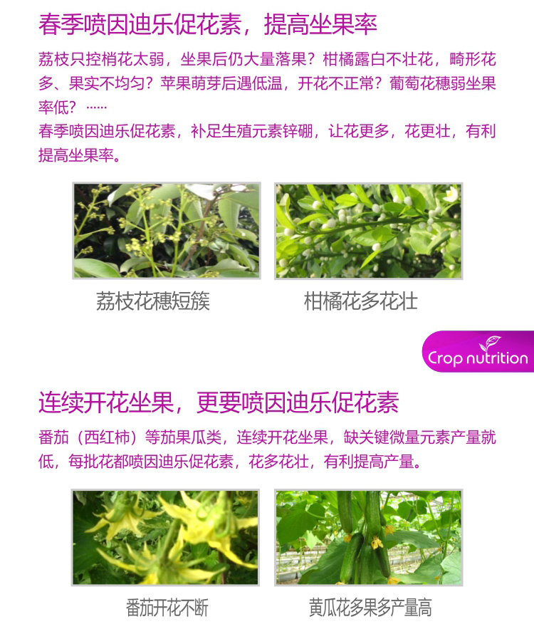 因迪樂有機促花素_04.jpg