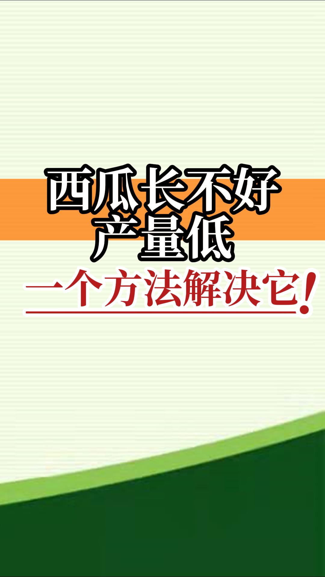 西瓜長(zhǎng)不好產(chǎn)量低？
