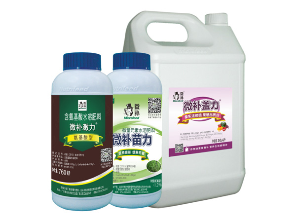 讓作物安全過冬的實用小妙招，速看