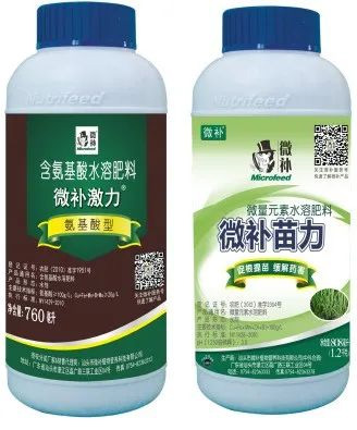 讓作物安全過冬的實用小妙招，速看