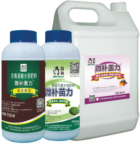 讓作物安全過冬的實用小妙招，速看