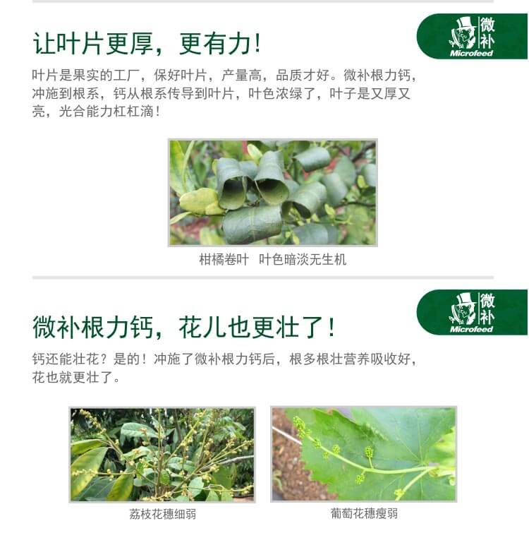 微補根力鈣