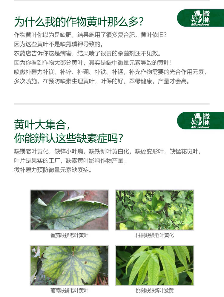 微補(bǔ)碧力