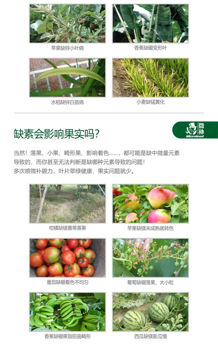 微補(bǔ)碧力