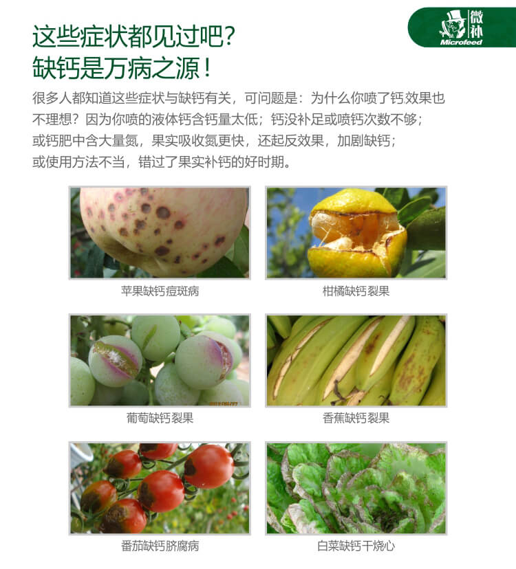微補蓋力