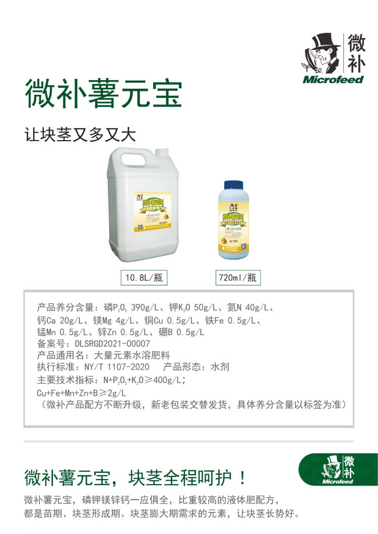 微補薯元寶