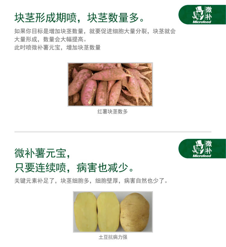 微補薯元寶