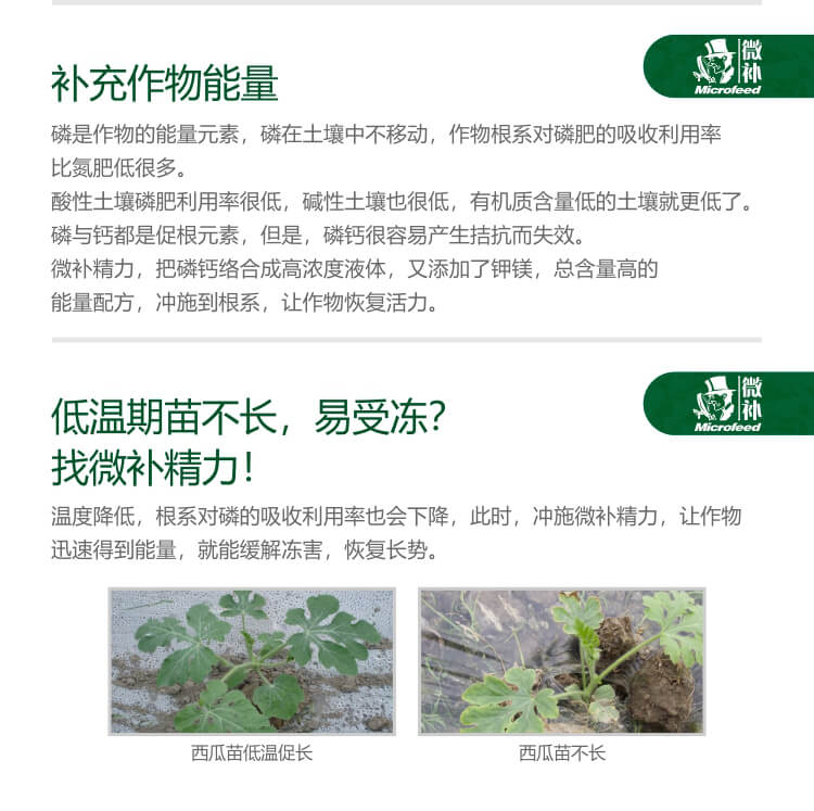 微補(bǔ)精力