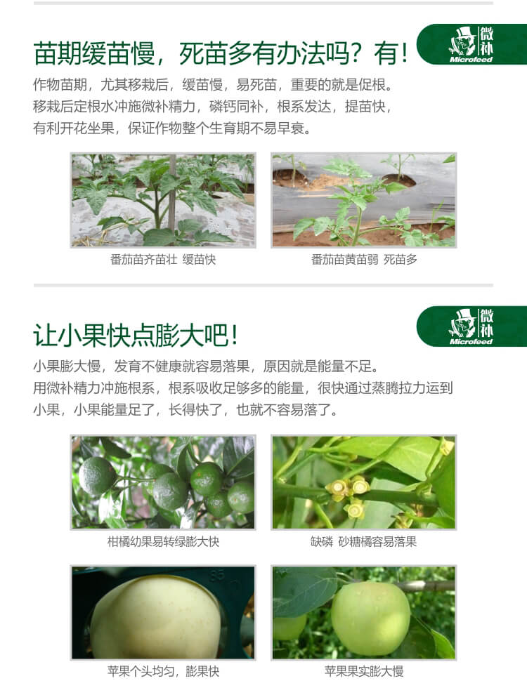 微補(bǔ)精力