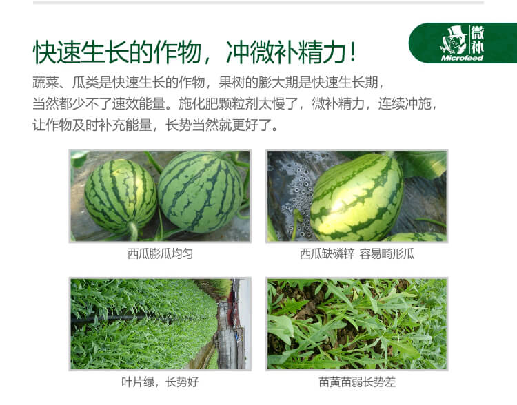 微補(bǔ)精力