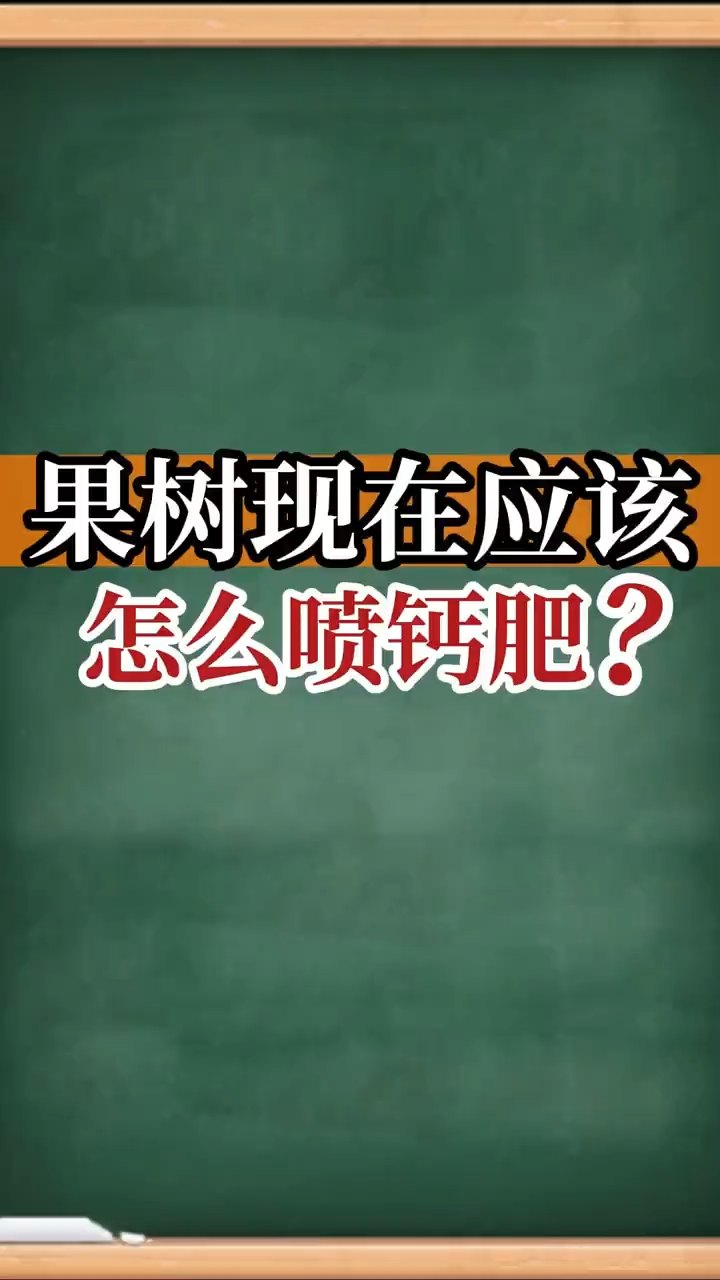 果樹現(xiàn)在應(yīng)該怎么噴鈣肥？