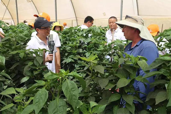 深度思考：我們到底應該向以色列農(nóng)業(yè)學習什么？